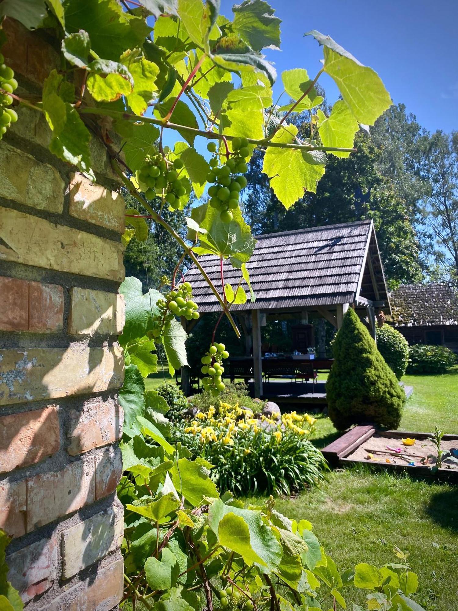 Griki Villa Kalniski Bagian luar foto